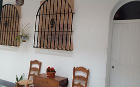Vicario 11 Estudio